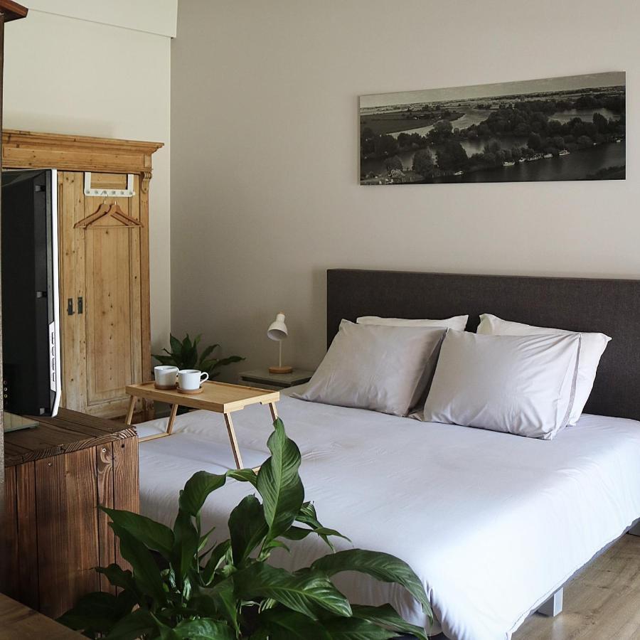 Bed And Breakfast 'Wij En De Zande' Kamperveen ภายนอก รูปภาพ