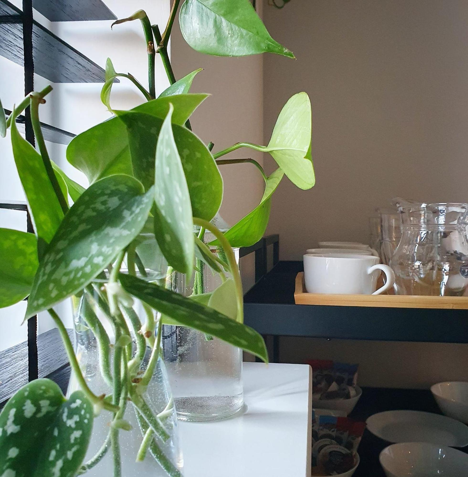 Bed And Breakfast 'Wij En De Zande' Kamperveen ภายนอก รูปภาพ